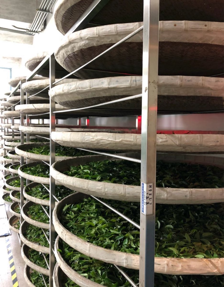 大溪老茶廠 | 去趣 chicTrip