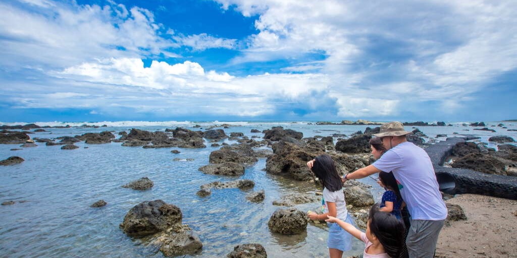 【亮點選拔】聆聽潮聲・遇見魚群：東海岸一日探索 - 喔熊組長 | 去趣 chicTrip