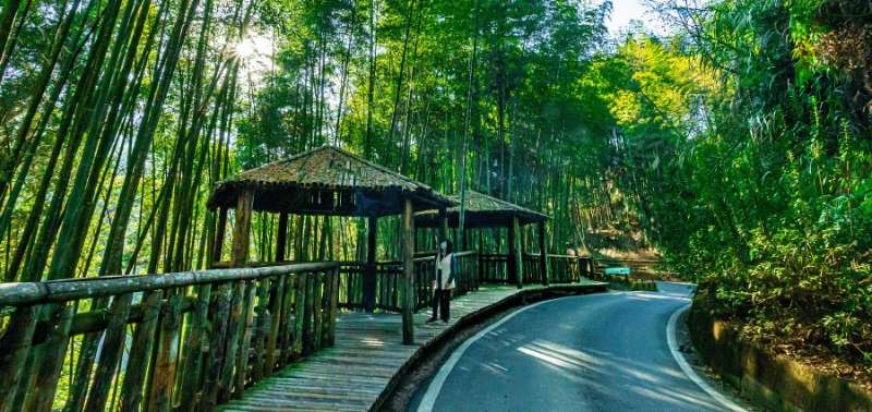 【亮點雲林】眷村x山林文化慢旅二日遊 - 喔熊組長 | 去趣 chicTrip