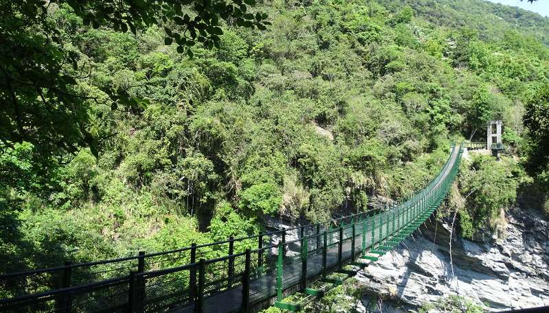 【亮點選拔】玉山國家公園瓦拉米步道慢遊趣 - 喔熊組長 | 去趣 chicTrip