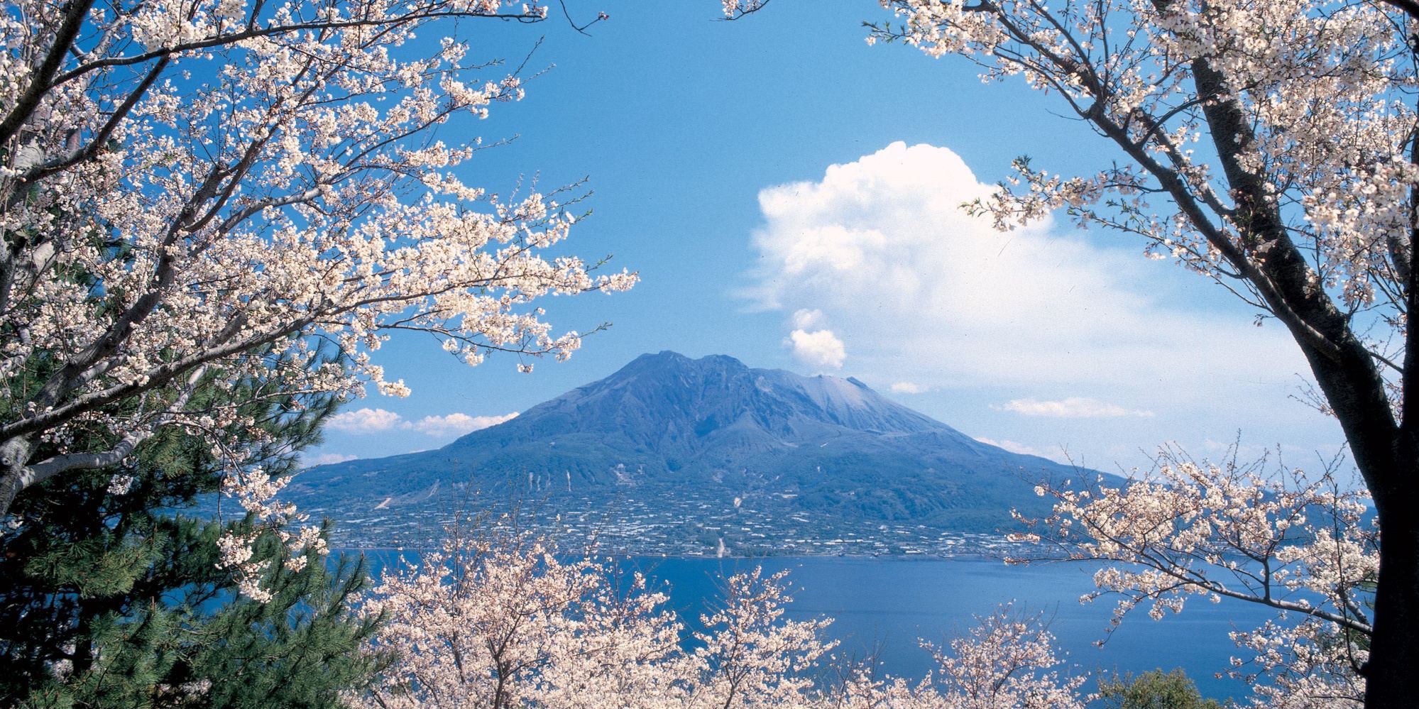 【深度旅日必看】福岡·熊本·鹿兒島自駕🚙 - 去趣官方合作 | 去趣 chicTrip